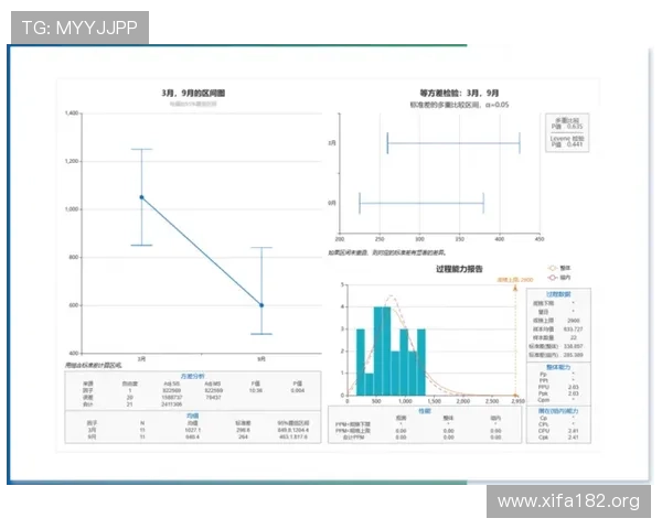 万博这个网站如何评价：用户体验与服务质量全面分析