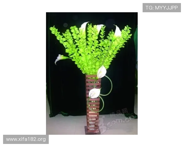 万博足球网站最新赛事资讯全面解析助你轻松掌握比赛动态